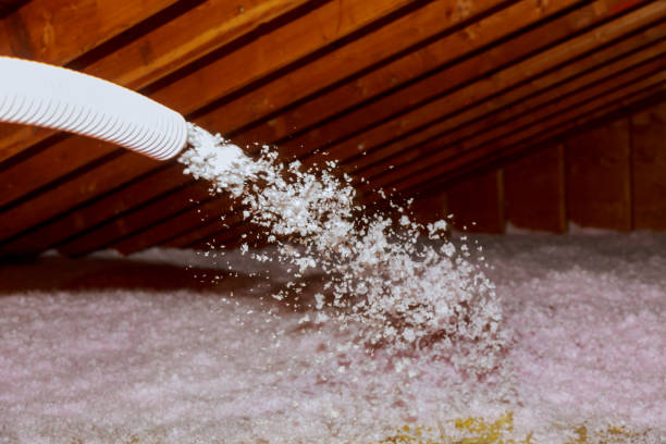 Best Residential Insulation in Ravena, NY