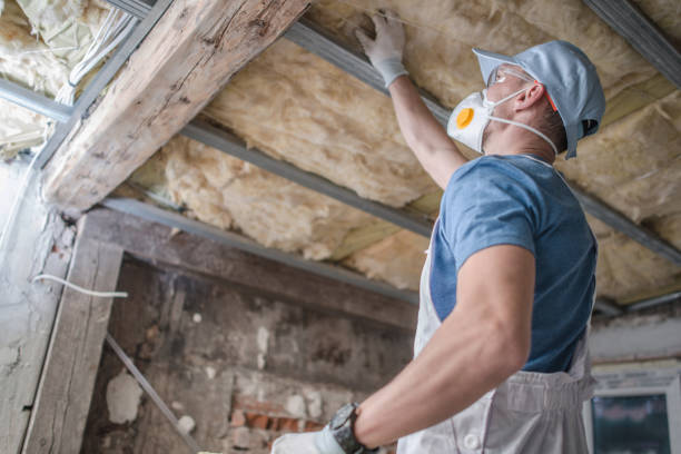 Best Residential Insulation in Ravena, NY